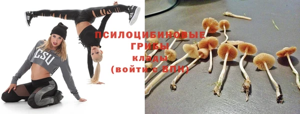 гидра Белокуриха