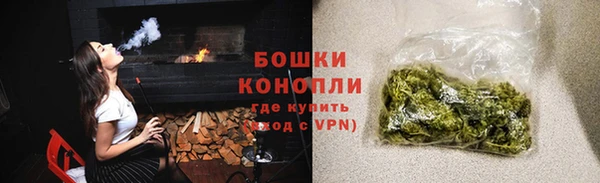 гидра Белоозёрский