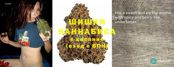 гидра Белокуриха