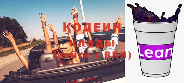 гидра Белокуриха