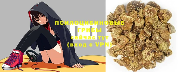 гидра Белоозёрский