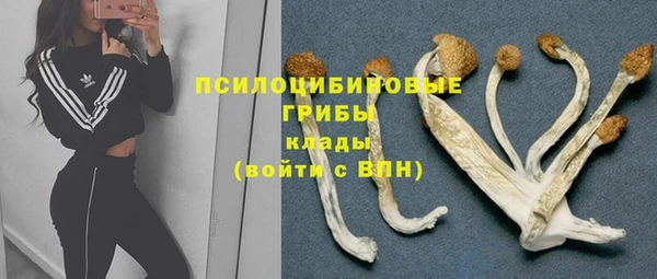 гидра Белоозёрский
