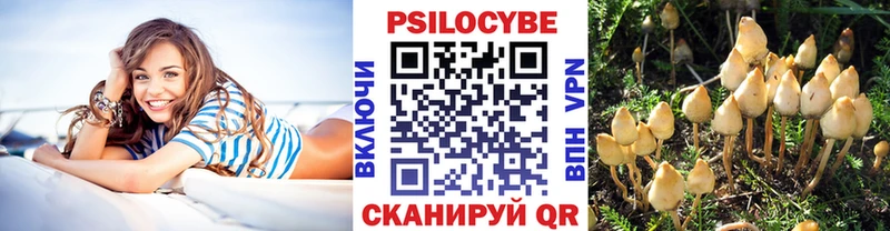 Купить закладки  Балашов  Псилоцибиновые грибы Magic Shrooms 