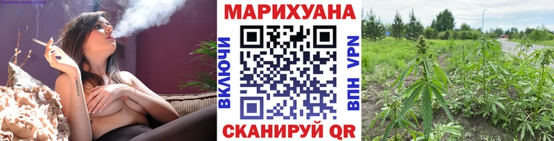 Конопля Ganja  Купить где  Балашов 